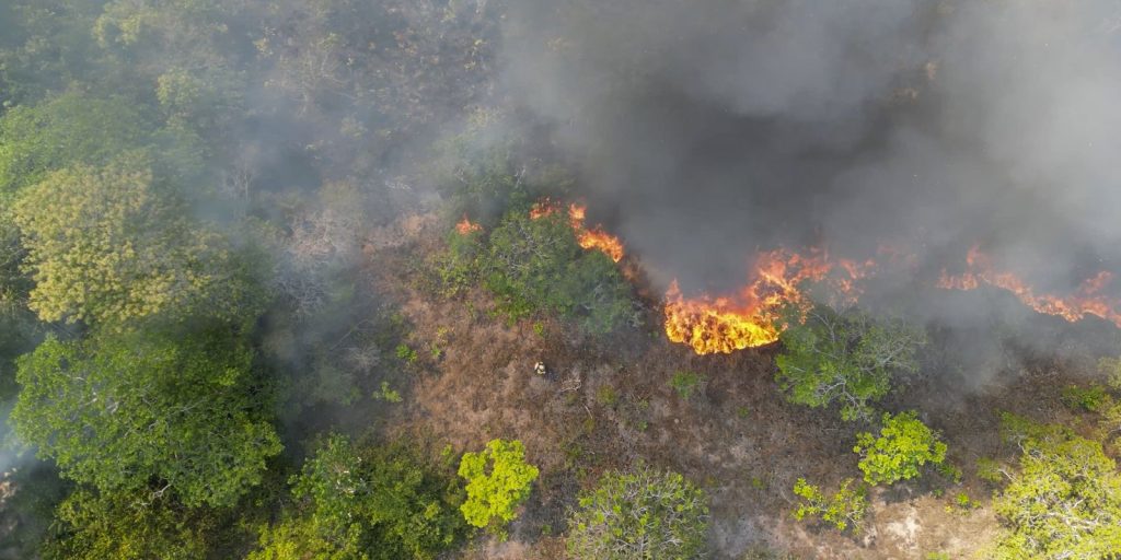 arco-da-restauracao-no-am-vai-receber-projetos-de-reparacao-ecologica