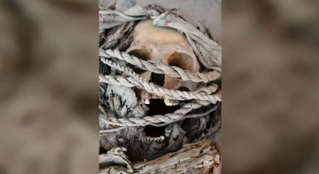 esqueletos-com-marcas-de-batalha-desvendam-historia-de-povo-misterioso 