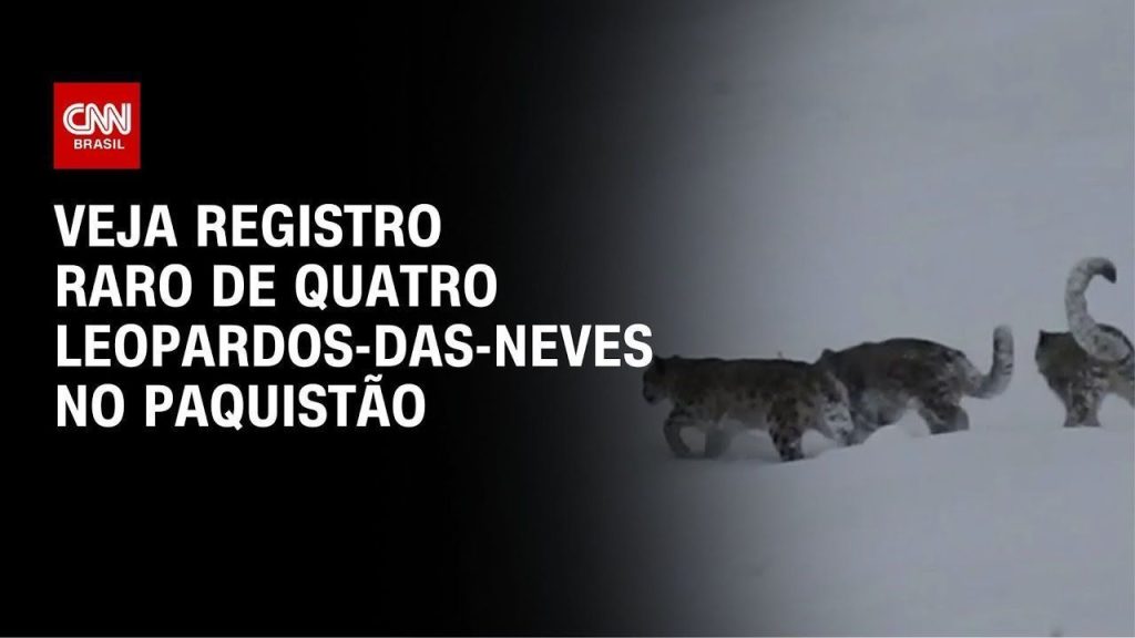 leoa-mata-menina-de-14-anos-perto-do-parque-nacional-de-nairobi,-no-quenia