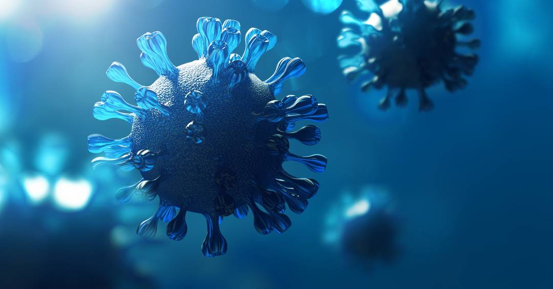 a-lista-de-‘procurados’-da-oms:-quem-sao-os-virus-que-mais-preocupam-as-autoridades-globais