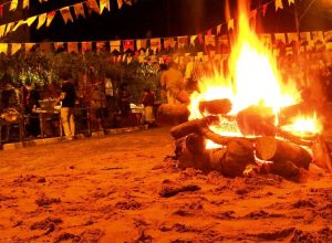 campanha-ressalta-o-perigo-de-soltar-baloes;-pratica-e-crime-ambiental