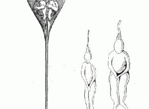 ovos-humanos-e-sapos-com-calca:-as-bizarrices-por-tras-da-ciencia-da-gestacao