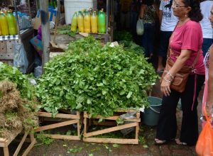 mercado-do-povo-levara-mercados-modulares-a-pequenas-cidades