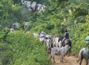 atividade-economica-brasileira-cresce-2,5%-em-2025